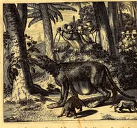 Picture 4 of 63 from De Nieuwe en onbekende Weereld: of Beschryving van America en 't Zuid-Land, : vervaetende d'oorsprong der Americænen en Zuid-Landers, gedenkwaerdige togten derwaerds, gelegendheid der vaste kusten, eilanden, steden, sterkten, dorpen, tempels, bergen, fonteinen, stroomen, huisen, de natuur van beesten, boomen, planten en vreemde gewasschen, gods-dienst en zeden, wonderlijke voorvallen, vereeuwde en nieuwe oorloogen: Verciert met af-beeldsels na 't leven in America gemaekt, (1671), leaf 78