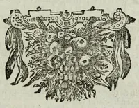 An illustration from De nieuw hervormde anatomie, ofte, Ontleding des menschen lichaams : gebouwd op de waaragtigste en naaukeurigste ondervindingen deser eeuw : zijnde met een groot getal kunstige platen vercʹiert : als ook een verhandelinge van het balsemen der lichamen : noit voor desen dusdanig bekent gemaakt (1686)