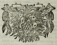 Picture 20 of 38 from De nieuw hervormde anatomie, ofte, Ontleding des menschen lichaams : gebouwd op de waaragtigste en naaukeurigste ondervindingen deser eeuw : zijnde met een groot getal kunstige platen vercʹiert : als ook een verhandelinge van het balsemen der lichamen : noit voor desen dusdanig bekent gemaakt (1686), leaf 464