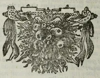 An illustration from De nieuw hervormde anatomie, ofte, Ontleding des menschen lichaams : gebouwd op de waaragtigste en naaukeurigste ondervindingen deser eeuw : zijnde met een groot getal kunstige platen vercʹiert : als ook een verhandelinge van het balsemen der lichamen : noit voor desen dusdanig bekent gemaakt (1686)
