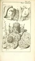 An illustration from De nieuw hervormde anatomie, ofte, Ontleding des menschen lichaams : gebouwd op de waaragtigste en naaukeurigste ondervindingen deser eeuw : zijnde met een groot getal kunstige platen vercʹiert : als ook een verhandelinge van het balsemen der lichamen : noit voor desen dusdanig bekent gemaakt (1686)
