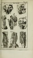 Picture 32 of 38 from De nieuw hervormde anatomie, ofte, Ontleding des menschen lichaams : gebouwd op de waaragtigste en naaukeurigste ondervindingen deser eeuw : zijnde met een groot getal kunstige platen vercʹiert : als ook een verhandelinge van het balsemen der lichamen : noit voor desen dusdanig bekent gemaakt (1686), leaf 651