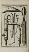 An illustration from De nieuw hervormde anatomie, ofte, Ontleding des menschen lichaams : gebouwd op de waaragtigste en naaukeurigste ondervindingen deser eeuw : zijnde met een groot getal kunstige platen vercʹiert : als ook een verhandelinge van het balsemen der lichamen : noit voor desen dusdanig bekent gemaakt (1686)