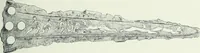 An illustration from Denkmäler des klassischen Altertums, zur Erläuterung des Lebens der Griechen und Römer in Religion, Kunst und Sitte (1887)