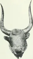 An illustration from Denkmäler des klassischen Altertums, zur Erläuterung des Lebens der Griechen und Römer in Religion, Kunst und Sitte (1887)