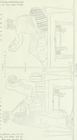 An illustration from Denkmäler des klassischen Altertums, zur Erläuterung des Lebens der Griechen und Römer in Religion, Kunst und Sitte (1887)
