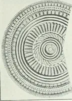 An illustration from Denkmäler des klassischen Altertums, zur Erläuterung des Lebens der Griechen und Römer in Religion, Kunst und Sitte (1887)