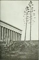An illustration from Denkmäler des klassischen Altertums, zur Erläuterung des Lebens der Griechen und Römer in Religion, Kunst und Sitte (1887)
