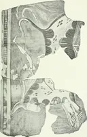 An illustration from Denkmäler des klassischen Altertums, zur Erläuterung des Lebens der Griechen und Römer in Religion, Kunst und Sitte (1887)