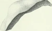 An illustration from Denkmäler des klassischen Altertums, zur Erläuterung des Lebens der Griechen und Römer in Religion, Kunst und Sitte (1887)