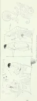An illustration from Denkmäler des klassischen Altertums, zur Erläuterung des Lebens der Griechen und Römer in Religion, Kunst und Sitte (1887)