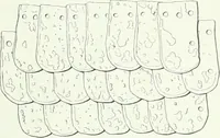 An illustration from Denkmäler des klassischen Altertums, zur Erläuterung des Lebens der Griechen und Römer in Religion, Kunst und Sitte (1887)