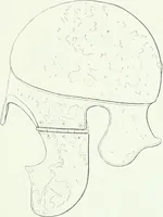 An illustration from Denkmäler des klassischen Altertums, zur Erläuterung des Lebens der Griechen und Römer in Religion, Kunst und Sitte (1887)