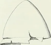 An illustration from Denkmäler des klassischen Altertums, zur Erläuterung des Lebens der Griechen und Römer in Religion, Kunst und Sitte (1887)