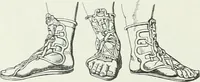 An illustration from Denkmäler des klassischen Altertums, zur Erläuterung des Lebens der Griechen und Römer in Religion, Kunst und Sitte (1887)