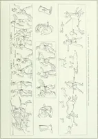 An illustration from Denkmäler des klassischen Altertums, zur Erläuterung des Lebens der Griechen und Römer in Religion, Kunst und Sitte (1887)