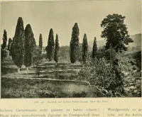 An illustration from Denkmäler persischer Baukunst : geschichtliche Untersuchung und Aufnahme muhammedanischer Backsteinbauten in Vorderasien und Persien (1901)