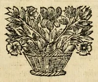 An illustration from Den nederlandtsen hovenier : zijnde het I. deel van het Vermakelijck land-leven, beschrijbende alderhande princelijke en heerlijcke lusthoven en hofsteden; en hoeman de selve, met veelderley uytnemende boomen, bloemen en kruyden, kan beplanted, bezaeyen, en vercieren ... (1699)