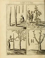 An illustration from Den nederlandtsen hovenier : zijnde het I. deel van het Vermakelijck land-leven, beschrijbende alderhande princelijke en heerlijcke lusthoven en hofsteden; en hoeman de selve, met veelderley uytnemende boomen, bloemen en kruyden, kan beplanted, bezaeyen, en vercieren ... (1699)