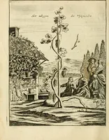 An illustration from Den nederlandtsen hovenier : zijnde het I. deel van het Vermakelijck land-leven, beschrijbende alderhande princelijke en heerlijcke lusthoven en hofsteden; en hoeman de selve, met veelderley uytnemende boomen, bloemen en kruyden, kan beplanted, bezaeyen, en vercieren ... (1699)