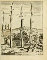 An illustration from Den nederlandtsen hovenier : zijnde het I. deel van het Vermakelijck land-leven, beschrijbende alderhande princelijke en heerlijcke lusthoven en hofsteden; en hoeman de selve, met veelderley uytnemende boomen, bloemen en kruyden, kan beplanted, bezaeyen, en vercieren ... (1699)