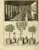 Picture 14 of 66 from Den nederlandtsen hovenier : zijnde het I. deel van het Vermakelijck land-leven, beschrijbende alderhande princelijke en heerlijcke lusthoven en hofsteden; en hoeman de selve, met veelderley uytnemende boomen, bloemen en kruyden, kan beplanted, bezaeyen, en vercieren ... (1699), leaf 36