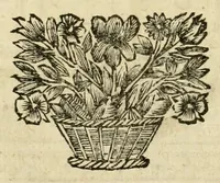An illustration from Den nederlandtsen hovenier : zijnde het I. deel van het Vermakelijck land-leven, beschrijbende alderhande princelijke en heerlijcke lusthoven en hofsteden; en hoeman de selve, met veelderley uytnemende boomen, bloemen en kruyden, kan beplanted, bezaeyen, en vercieren ... (1699)