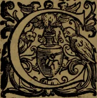 An illustration from De nobilitate medici contra illius obtrectatores dialogus tripartitus : in quo rationibus, exemplis, sapientumque auctoritatibus, Sacrae Scripturae, ac utriusque juris comprobatur medicum jurisprudente esse nobiliorem ; postea de omnibus scientijs, artibus hactenus cognitis, etiam magicis compendiosus habetur tractatus ... (1605)