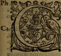 An illustration from De nobilitate medici contra illius obtrectatores dialogus tripartitus : in quo rationibus, exemplis, sapientumque auctoritatibus, Sacrae Scripturae, ac utriusque juris comprobatur medicum jurisprudente esse nobiliorem ; postea de omnibus scientijs, artibus hactenus cognitis, etiam magicis compendiosus habetur tractatus ... (1605)