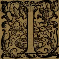 An illustration from De nobilitate medici contra illius obtrectatores dialogus tripartitus : in quo rationibus, exemplis, sapientumque auctoritatibus, Sacrae Scripturae, ac utriusque juris comprobatur medicum jurisprudente esse nobiliorem ; postea de omnibus scientijs, artibus hactenus cognitis, etiam magicis compendiosus habetur tractatus ... (1605)