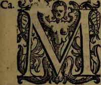 An illustration from De nobilitate medici contra illius obtrectatores dialogus tripartitus : in quo rationibus, exemplis, sapientumque auctoritatibus, Sacrae Scripturae, ac utriusque juris comprobatur medicum jurisprudente esse nobiliorem ; postea de omnibus scientijs, artibus hactenus cognitis, etiam magicis compendiosus habetur tractatus ... (1605)