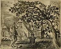 An illustration from Spiegel van den ouden ende nieuwen-tijt : bestaende uyt spreeck-woorden, ontleent van de voorige ende jegenwoordige eeuwe, verlustigt door menichte van sinne-beelden, met gedichten en prenten daer op passende (1648)