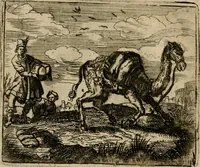 An illustration from Spiegel van den ouden ende nieuwen-tijt : bestaende uyt spreeck-woorden, ontleent van de voorige ende jegenwoordige eeuwe, verlustigt door menichte van sinne-beelden, met gedichten en prenten daer op passende (1648)