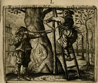 An illustration from Spiegel van den ouden ende nieuwen-tijt : bestaende uyt spreeck-woorden, ontleent van de voorige ende jegenwoordige eeuwe, verlustigt door menichte van sinne-beelden, met gedichten en prenten daer op passende (1648)