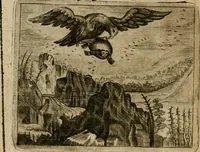An illustration from Spiegel van den ouden ende nieuwen-tijt : bestaende uyt spreeck-woorden, ontleent van de voorige ende jegenwoordige eeuwe, verlustigt door menichte van sinne-beelden, met gedichten en prenten daer op passende (1648)