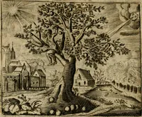 Picture 94 of 95 from Spiegel van den ouden ende nieuwen-tijt : bestaende uyt spreeck-woorden, ontleent van de voorige ende jegenwoordige eeuwe, verlustigt door menichte van sinne-beelden, met gedichten en prenten daer op passende (1648), leaf 339