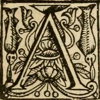 An illustration from De Novo orbe, or, the historie of the West Indies : contayning the actes and adventures of the Spanyardes, which have conquered and peopled those countries, inriched with varietie of pleasant relation of the manners, ceremonies, lawes, gouernments, and warres of the Indians (1612)