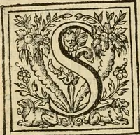 An illustration from De Novo orbe, or, the historie of the West Indies : contayning the actes and adventures of the Spanyardes, which have conquered and peopled those countries, inriched with varietie of pleasant relation of the manners, ceremonies, lawes, gouernments, and warres of the Indians (1612)