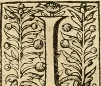 An illustration from De Novo orbe, or, the historie of the West Indies : contayning the actes and adventures of the Spanyardes, which have conquered and peopled those countries, inriched with varietie of pleasant relation of the manners, ceremonies, lawes, gouernments, and warres of the Indians (1612)