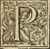 An illustration from De Novo orbe, or, the historie of the West Indies : contayning the actes and adventures of the Spanyardes, which have conquered and peopled those countries, inriched with varietie of pleasant relation of the manners, ceremonies, lawes, gouernments, and warres of the Indians (1612)