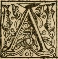 An illustration from De Novo orbe, or, the historie of the West Indies : contayning the actes and adventures of the Spanyardes, which have conquered and peopled those countries, inriched with varietie of pleasant relation of the manners, ceremonies, lawes, gouernments, and warres of the Indians (1612)