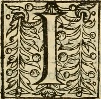 An illustration from De Novo orbe, or, the historie of the West Indies : contayning the actes and adventures of the Spanyardes, which have conquered and peopled those countries, inriched with varietie of pleasant relation of the manners, ceremonies, lawes, gouernments, and warres of the Indians (1612)