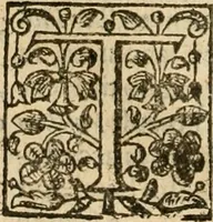 An illustration from De Novo orbe, or, the historie of the West Indies : contayning the actes and adventures of the Spanyardes, which have conquered and peopled those countries, inriched with varietie of pleasant relation of the manners, ceremonies, lawes, gouernments, and warres of the Indians (1612)