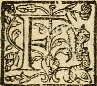 An illustration from De Novo orbe, or, the historie of the West Indies : contayning the actes and adventures of the Spanyardes, which have conquered and peopled those countries, inriched with varietie of pleasant relation of the manners, ceremonies, lawes, gouernments, and warres of the Indians (1612)