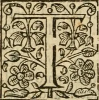 An illustration from De Novo orbe, or, the historie of the West Indies : contayning the actes and adventures of the Spanyardes, which have conquered and peopled those countries, inriched with varietie of pleasant relation of the manners, ceremonies, lawes, gouernments, and warres of the Indians (1612)