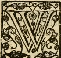 An illustration from De Novo orbe, or, the historie of the West Indies : contayning the actes and adventures of the Spanyardes, which have conquered and peopled those countries, inriched with varietie of pleasant relation of the manners, ceremonies, lawes, gouernments, and warres of the Indians (1612)