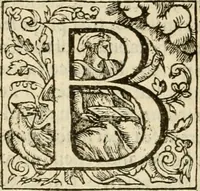 Picture 19 of 72 from De Novo orbe, or, the historie of the West Indies : contayning the actes and adventures of the Spanyardes, which have conquered and peopled those countries, inriched with varietie of pleasant relation of the manners, ceremonies, lawes, gouernments, and warres of the Indians (1612), leaf 177
