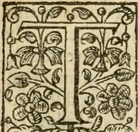 An illustration from De Novo orbe, or, the historie of the West Indies : contayning the actes and adventures of the Spanyardes, which have conquered and peopled those countries, inriched with varietie of pleasant relation of the manners, ceremonies, lawes, gouernments, and warres of the Indians (1612)