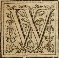An illustration from De Novo orbe, or, the historie of the West Indies : contayning the actes and adventures of the Spanyardes, which have conquered and peopled those countries, inriched with varietie of pleasant relation of the manners, ceremonies, lawes, gouernments, and warres of the Indians (1612)