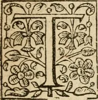 An illustration from De Novo orbe, or, the historie of the West Indies : contayning the actes and adventures of the Spanyardes, which have conquered and peopled those countries, inriched with varietie of pleasant relation of the manners, ceremonies, lawes, gouernments, and warres of the Indians (1612)